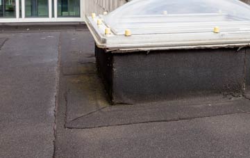 disadvantages of Dennyloanhead flat roofs