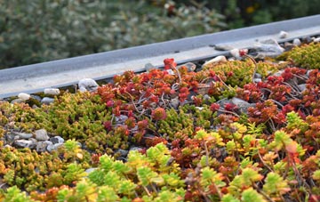 the cost of Dennyloanhead green roof installation