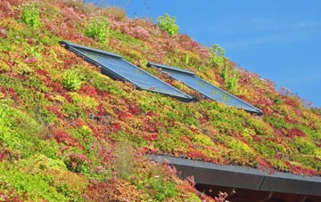 Dennyloanhead living roof systems
