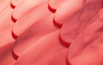 Dennyloanhead plastic roof costs