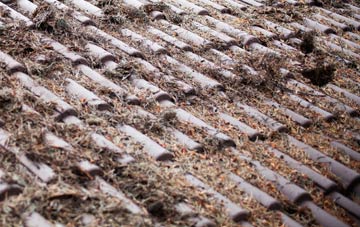 Dennyloanhead roof cleaning companies