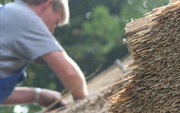 professional Dennyloanhead thatchers