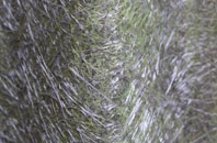 Dennyloanhead fibreglass roof work