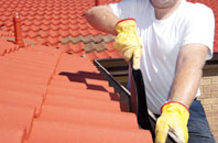 Dennyloanhead roof cleaners